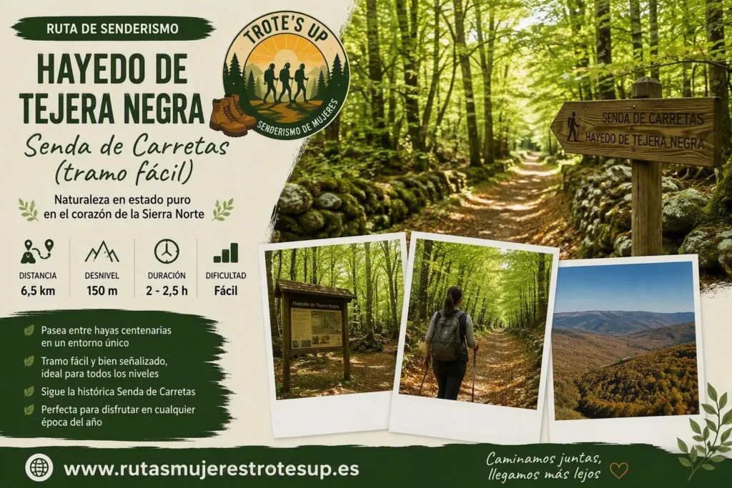Rutas de senderismo Ruta En El Hayedo De Tejera Negra Senderismo De Mujeres